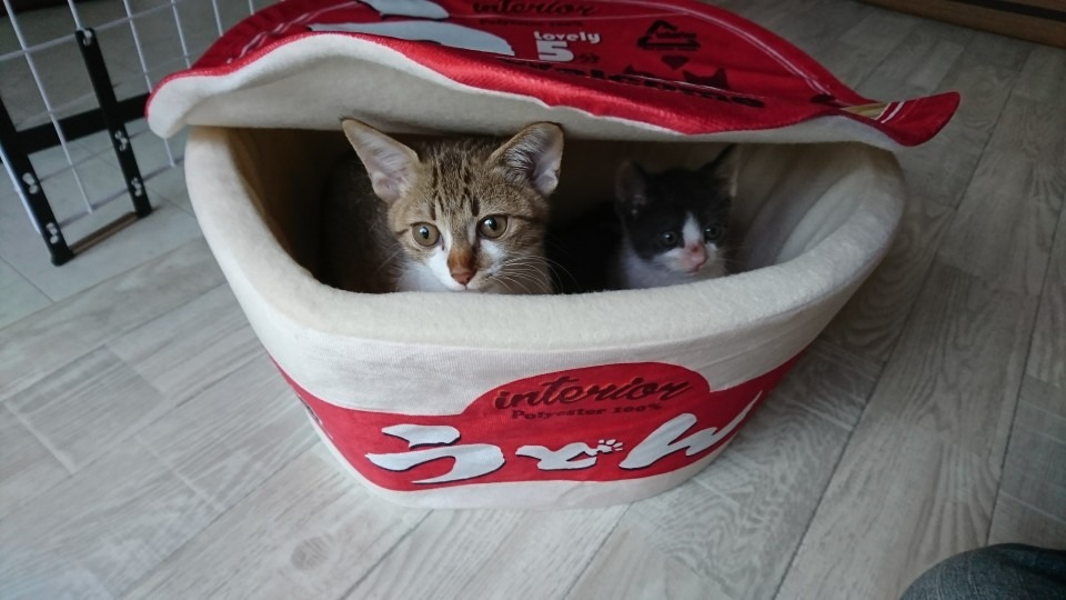 エアコンクリーニング年末繁忙期